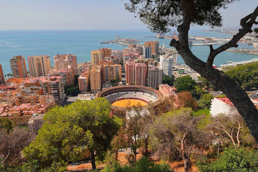 A coastal cityscape with a prominent bullring, high-rise buildings, and a marina. 3
