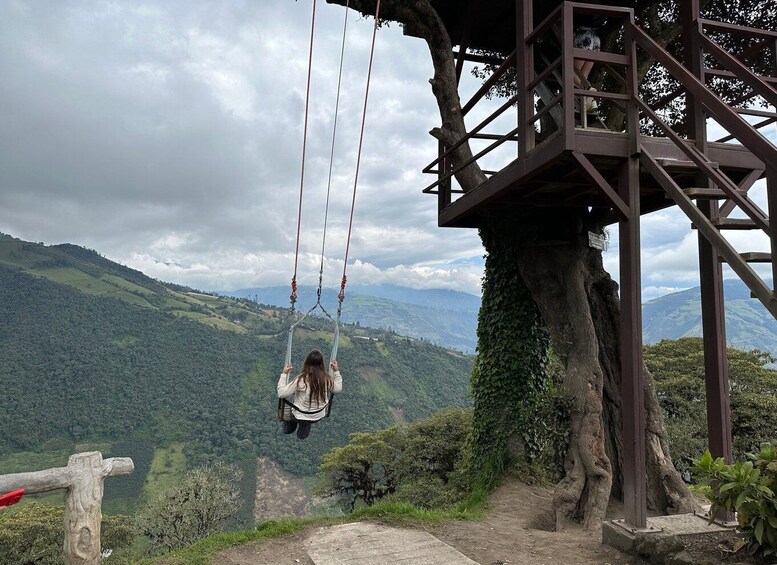 Una persona en un columpio colgado de un árbol, con vistas a un paisaje montañoso. 1