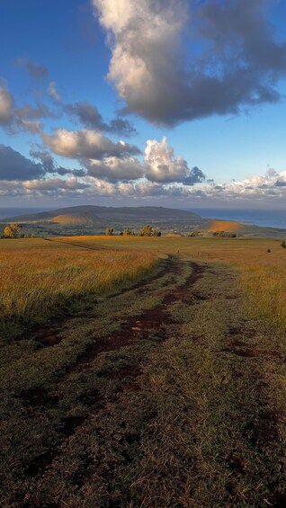 A grassy field with a dirt path leading to distant hills under a partly cloudy sky. 1
