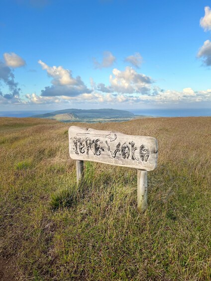A wooden sign with graffiti in a grassy field with a distant view of hills and the sea. 5