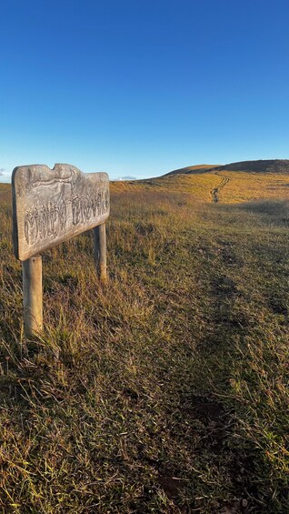 A wooden sign with carved text in a grassy field with a clear blue sky and distant hills. 3