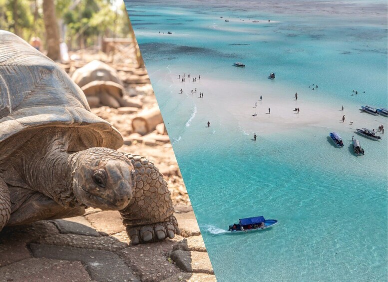 Zanzibar: Prison Island & Nakupenda Boat Trip + Swahili BBQ 2