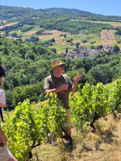 A man in a vineyard with a town in the background. 5