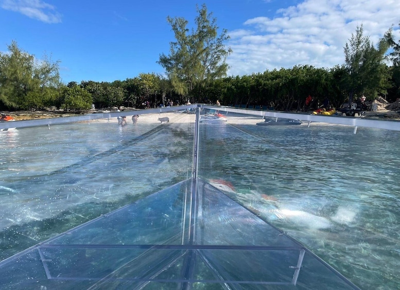 A transparent viewing platform over a pool with people swimming and a clear blue sky. 5