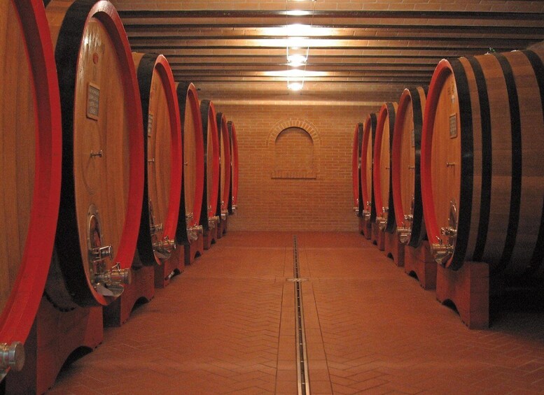 A row of wooden wine barrels in a cellar with a brick wall and a metal door in the background. 4
