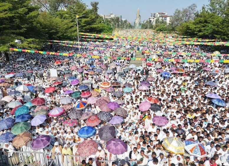 A large crowd of people holding colorful umbrellas, gathered in an open area with trees and buildings in the background. 4
