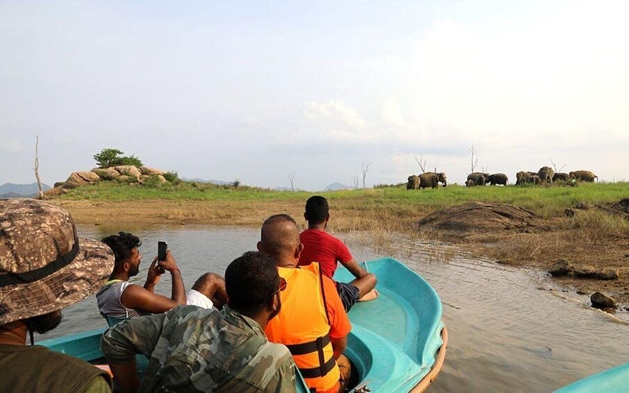 People in a boat observing elephants in a natural landscape. 1