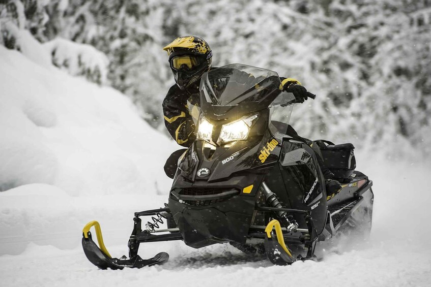 A snowmobile with a rider, surrounded by snow-covered trees. 4