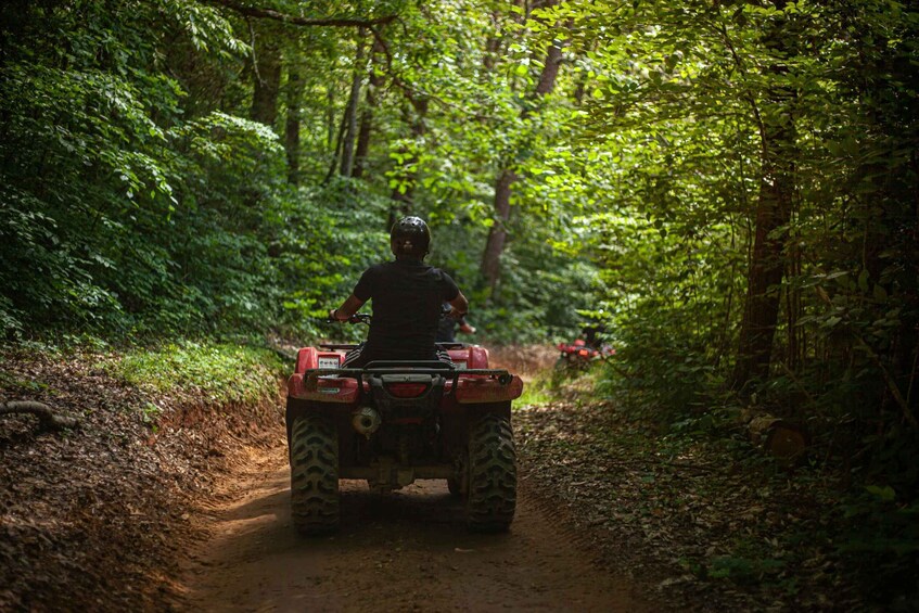 En person kører på en rød ATV på en sti gennem en skov. 2