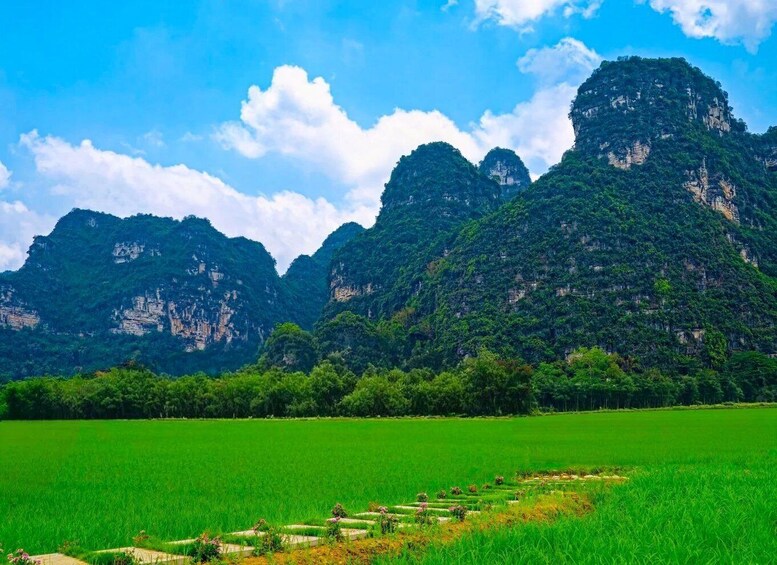 A lush green field with terraced rice paddies and towering limestone cliffs under a clear blue sky. 4