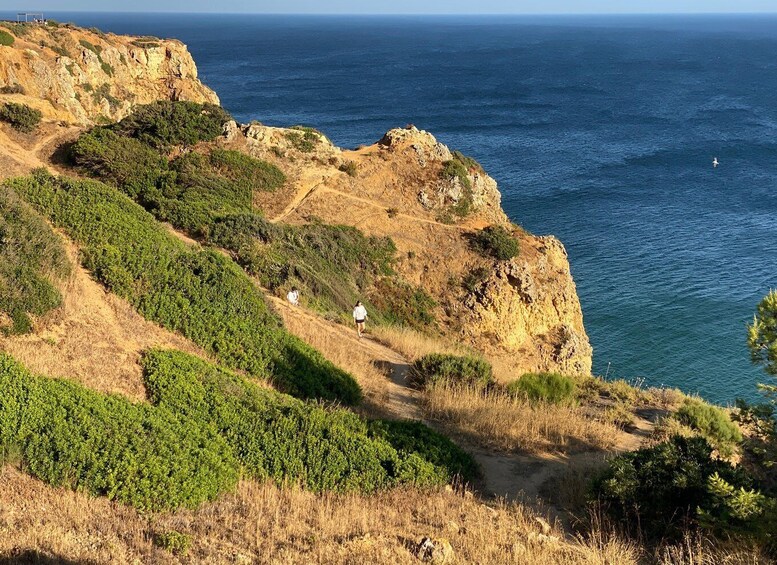 A coastal landscape with a cliff, greenery, and a view of the ocean. 2