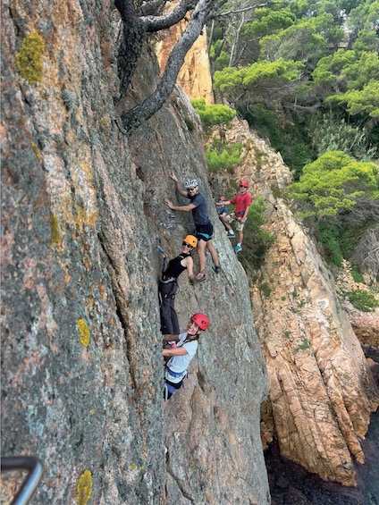 A group of people rock climbing on a cliff with trees in the background. 4