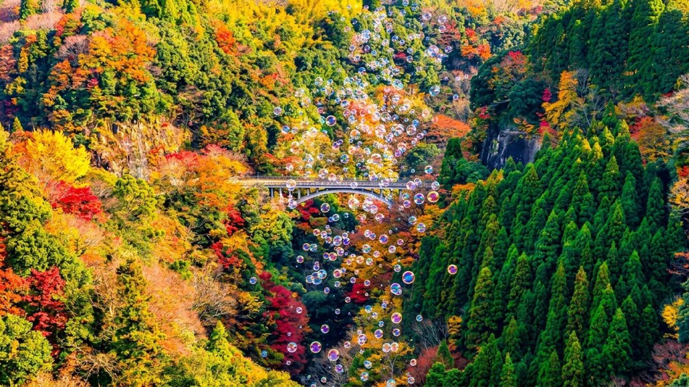 Picture 7 for Activity Fukuoka:Takachiho Gorge&Amaterasu Railway with Optional boat 5