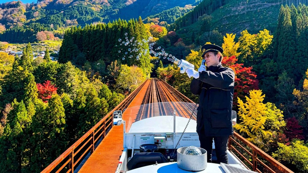 Picture 2 for Activity Fukuoka:Takachiho Gorge&Amaterasu Railway with Optional boat 3