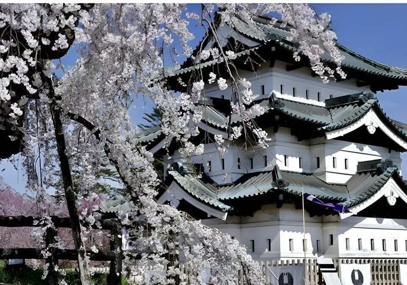 A traditional Japanese building with multiple tiers and a cherry blossom tree in the foreground. 4