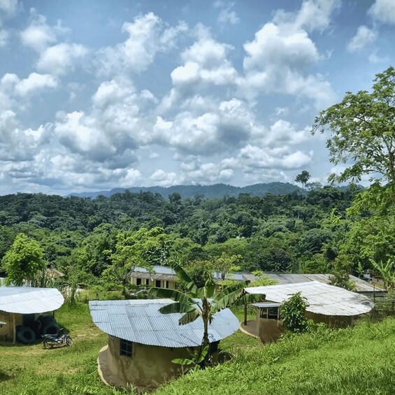 A rural landscape with houses, lush greenery, and mountains in the background. 4