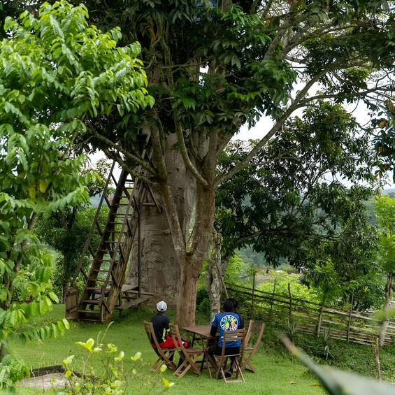 Two people seated at a wooden table under a large tree with a metal staircase. 2