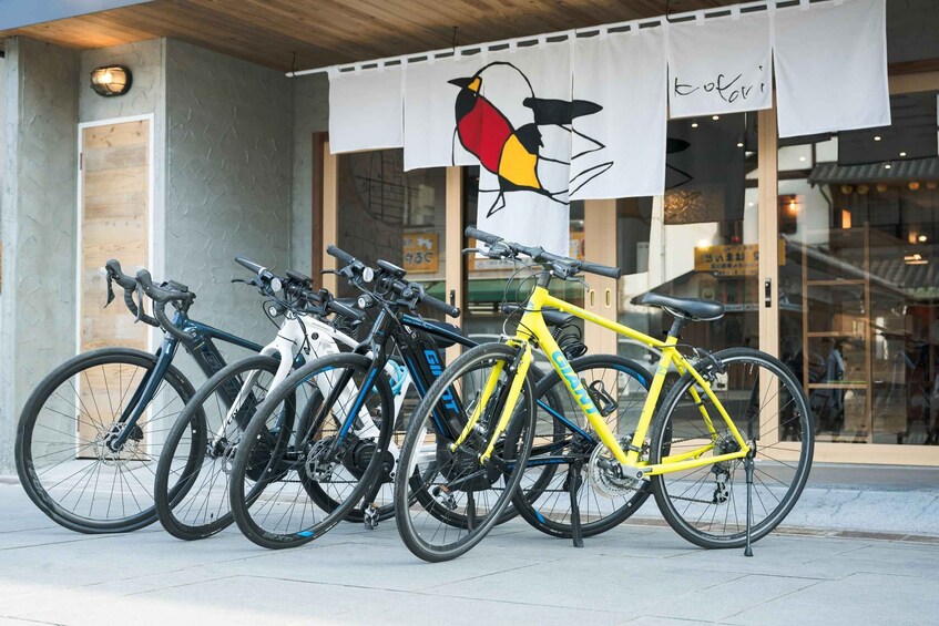 A row of bicycles parked outside a building with a bird mural on the wall. 3
