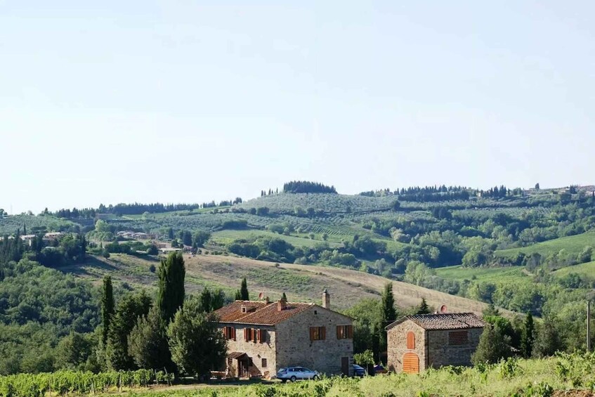 A rural landscape with rolling hills, a stone house, and vineyards. 1
