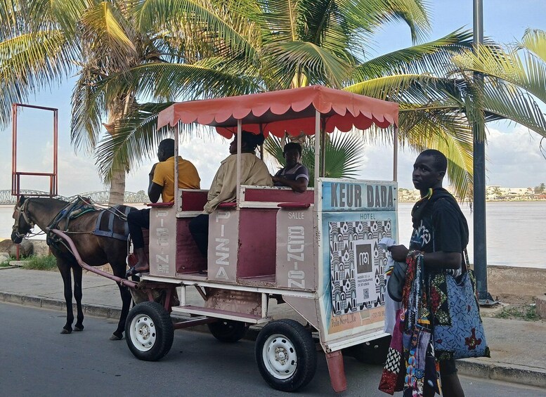 Picture 4 for Activity Saint-Louis tours: horse-drawn carriage ride, Djoudj Park, Archipelago of Museums 5