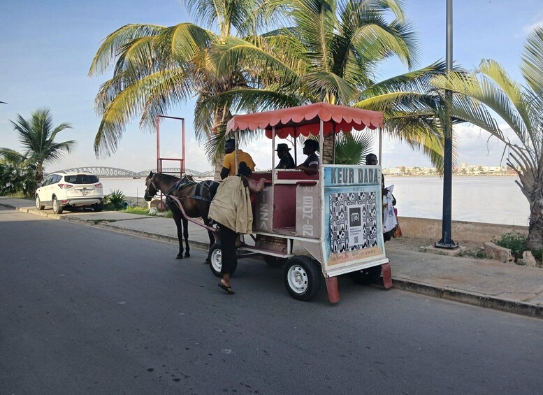 Picture 7 for Activity Saint-Louis tours: horse-drawn carriage ride, Djoudj Park, Archipelago of Museums 4