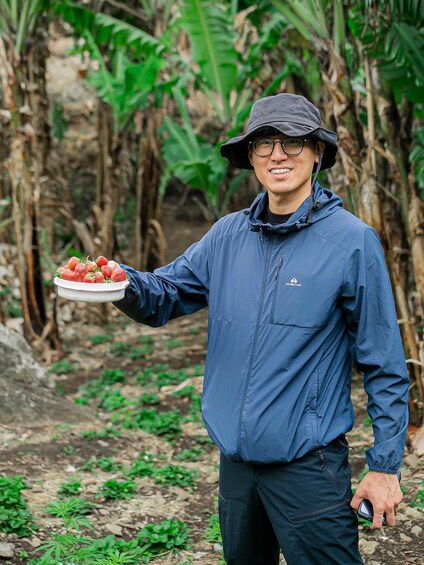 A person holding a plate of strawberries in a forested area. 5
