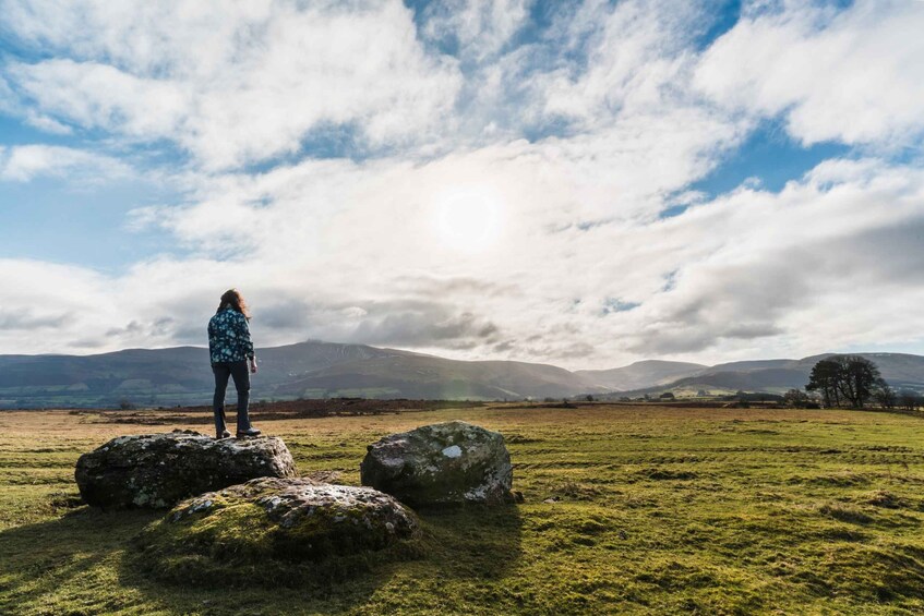 A person standing on a rock in a grassy field with mountains in the background. 3