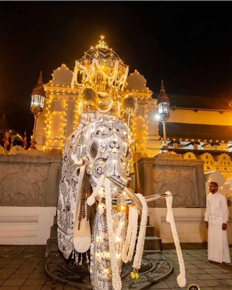 A decorated elephant statue with intricate patterns and lights, set against a building with ornate architecture. 5
