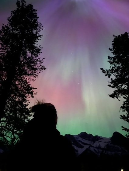 A person observing the aurora borealis with snow-capped mountains in the background. 3