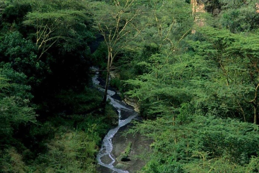 A winding river through a dense forest. 3