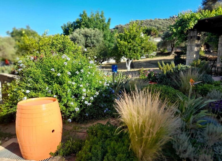 A garden with a variety of plants, a large terracotta pot, and a stone structure in the background. 2
