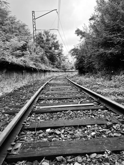 A railway track curving through a wooded area with trees on either side. 3