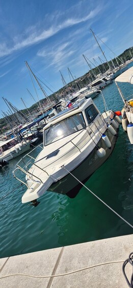 A marina with multiple boats docked, calm water, and a clear sky. 1