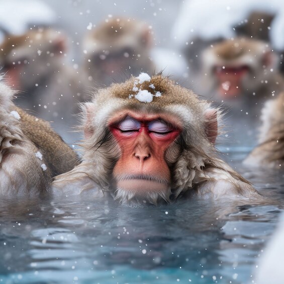 A monkey with snow on its head in a body of water. 3