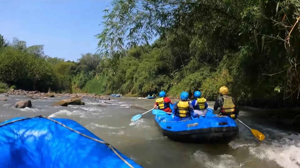 A group of people in a blue raft navigating a river surrounded by dense greenery. 3