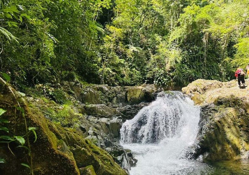 A waterfall in a lush forest with moss-covered rocks and dense greenery. 2