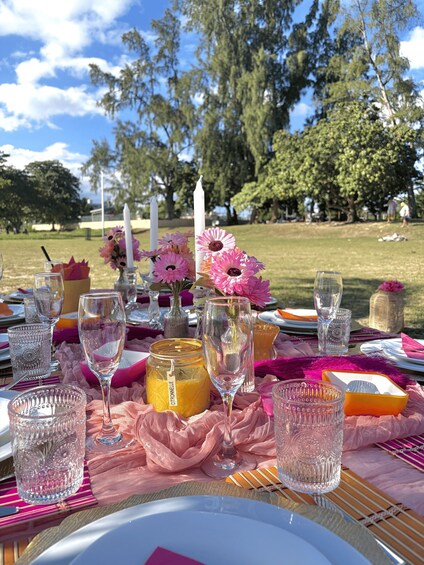 A picnic table set with pink and orange tableware, clear glassware, and a jar labeled 'CITRONELLE' on a grassy field. 2