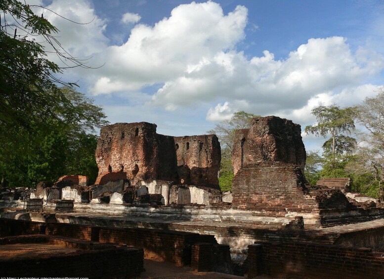 Ancient brick ruins with overgrown vegetation and a clear sky. 5