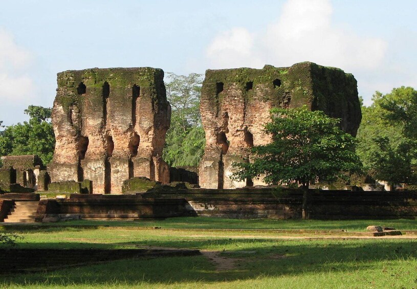 Ancient brick ruins with overgrown vegetation and a clear sky. 4
