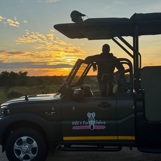 A safari vehicle with a person standing at the open door, a zebra logo, and a sunset in the background. 5