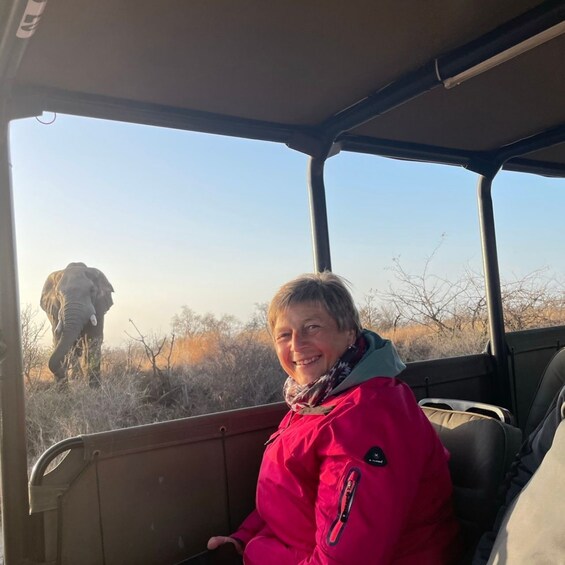 A person in a red jacket seated inside a vehicle, with a landscape of dry vegetation and a large elephant visible through the window. 2