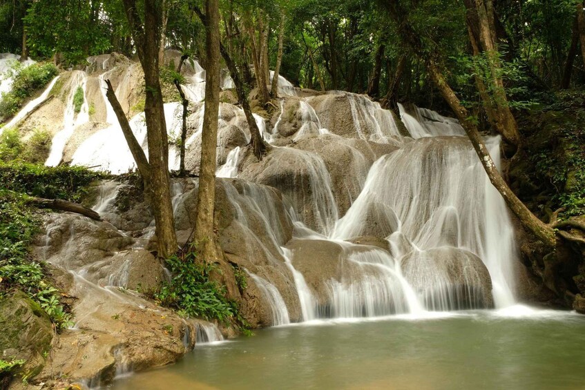 Picture 3 for Activity Chiang Mai: Sticky Waterfall & Blue Temple Half-Day Tour 2