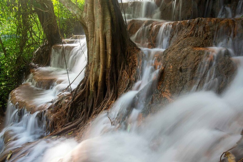 A waterfall cascading over rocks with tree roots. 1