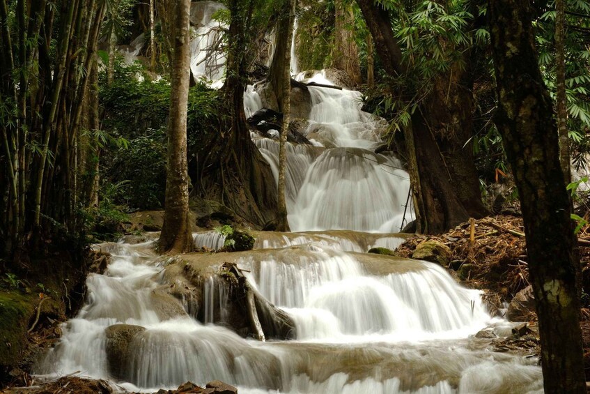 Picture 4 for Activity Chiang Mai: Sticky Waterfall & Blue Temple Half-Day Tour 4