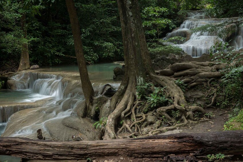 Picture 7 for Activity Chiang Mai: Sticky Waterfall & Blue Temple Half-Day Tour 3