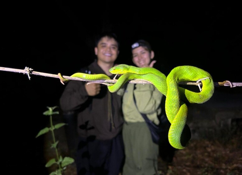 A large green snake coiled around a barbed wire. 2