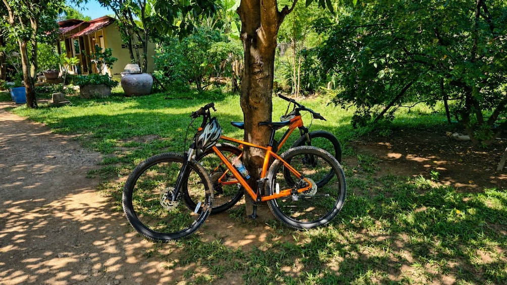 A mountain bike leaning against a tree in a lush garden with a house in the background. 3