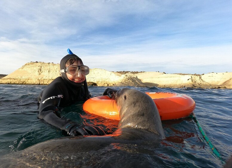 Picture 10 for Activity Puerto Madryn: Punta Loma Sea Lion Snorkeling Tour 2
