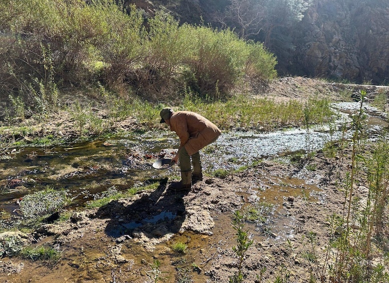 A person wading through a shallow stream in a natural setting with surrounding vegetation and rocky terrain. 2
