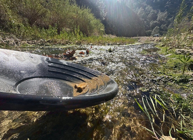 A kayak partially submerged in a clear stream with surrounding greenery. 1
